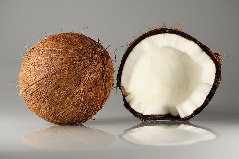 resources of Fresh Coconut exporters resources of Fresh Coconut exporters