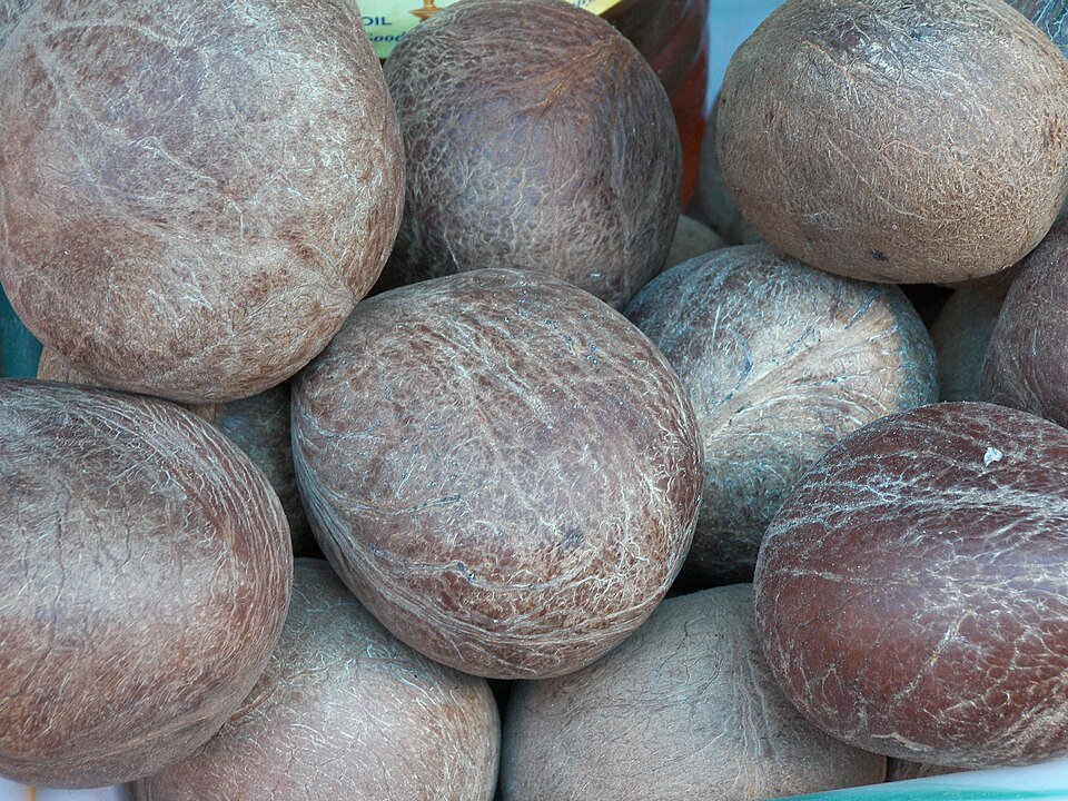 Coconut By-Products Exporters, Wholesaler & Manufacturer | Globaltradeplaza.com