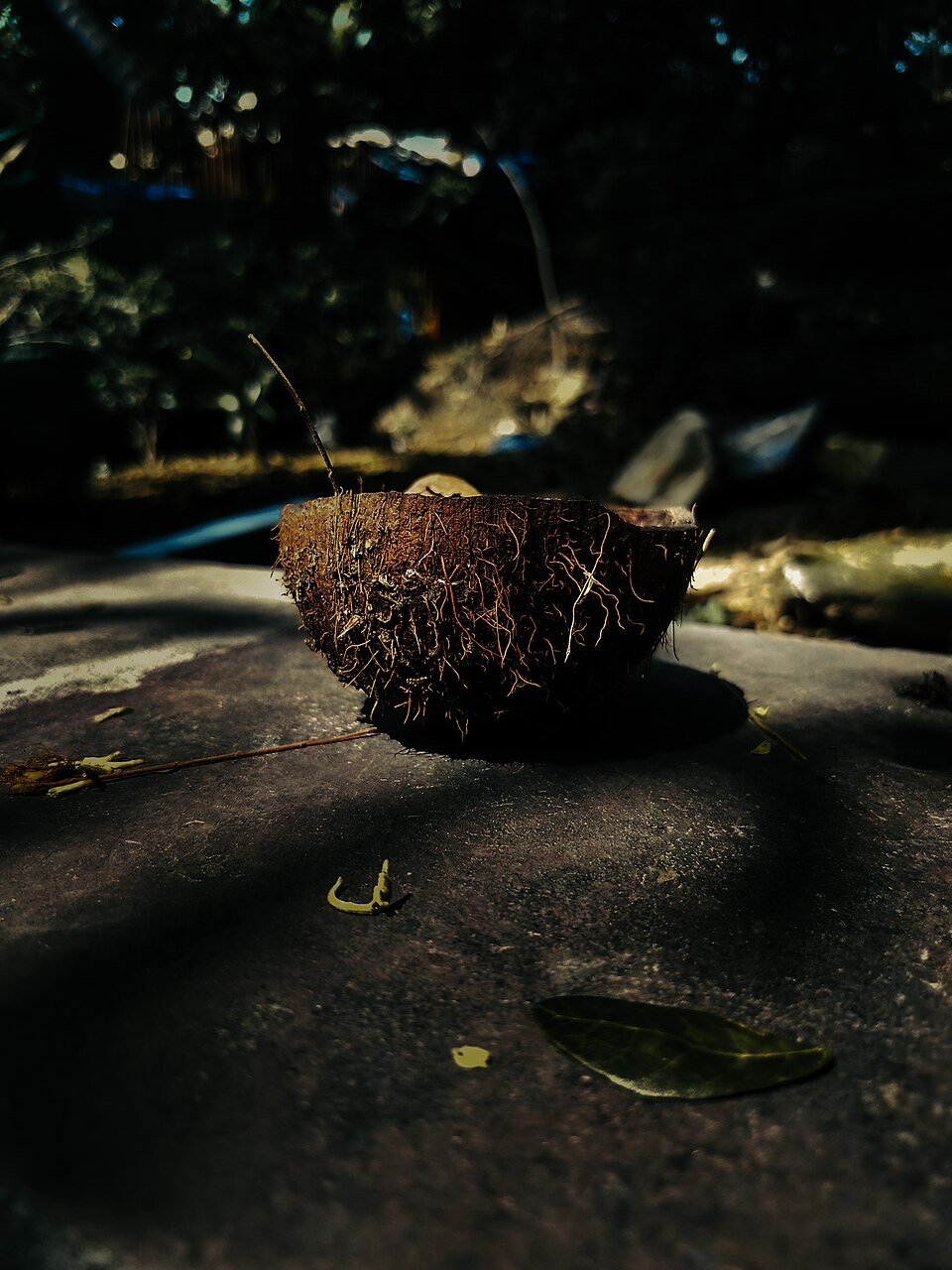 resources of Coconut Shell Briquette exporters