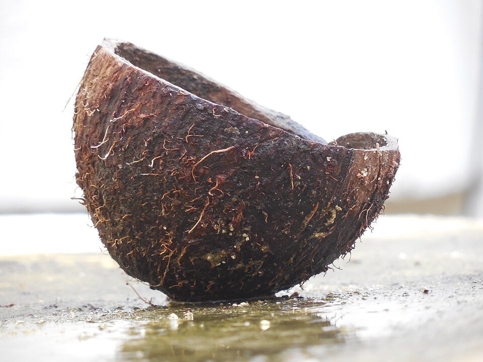 resources of Coconut Shell Briquettes Asm Indonesia exporters
