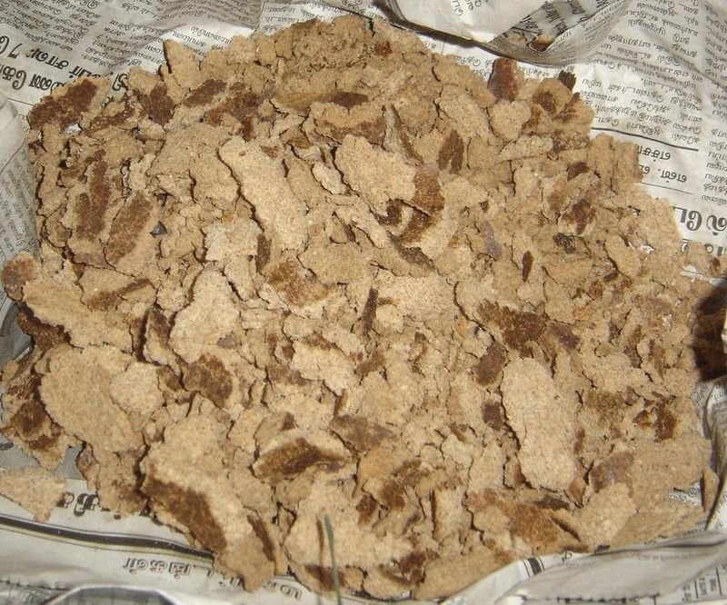 resources of Longjack Powder Root Slices exporters