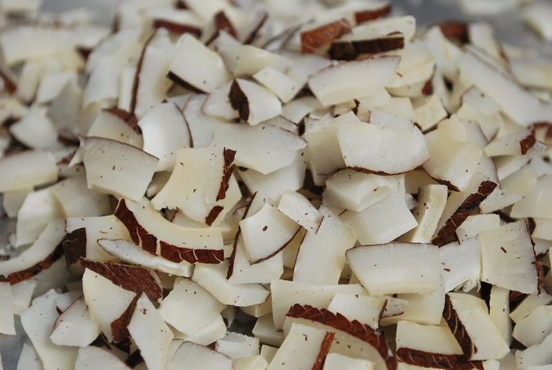 resources of Roasted Chicory Cubes exporters
