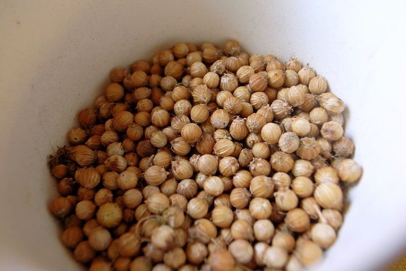 resources of Chickpeas exporters
