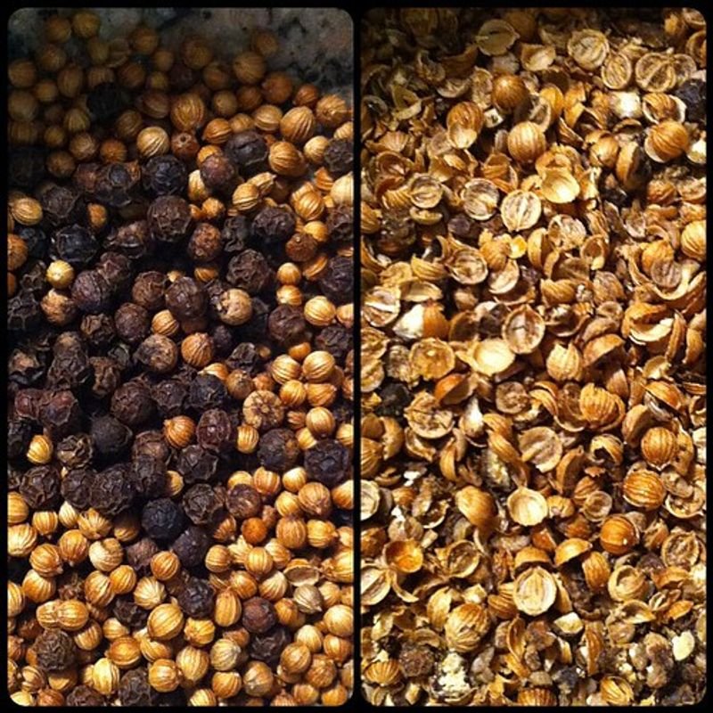 resources of Coriander Split Seeds exporters resources of Coriander Split Seeds exporters