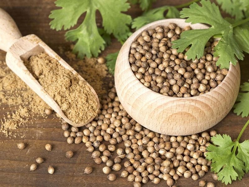 resources of Coriander exporters