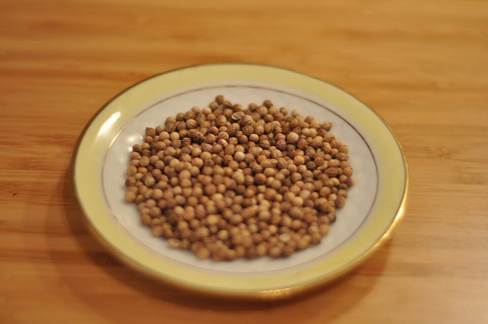 Coriander Seeds Exporters, Wholesaler & Manufacturer | Globaltradeplaza.com