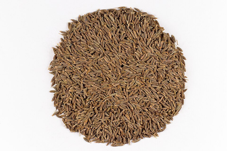 Cumin Seeds Exporters, Wholesaler & Manufacturer | Globaltradeplaza.com