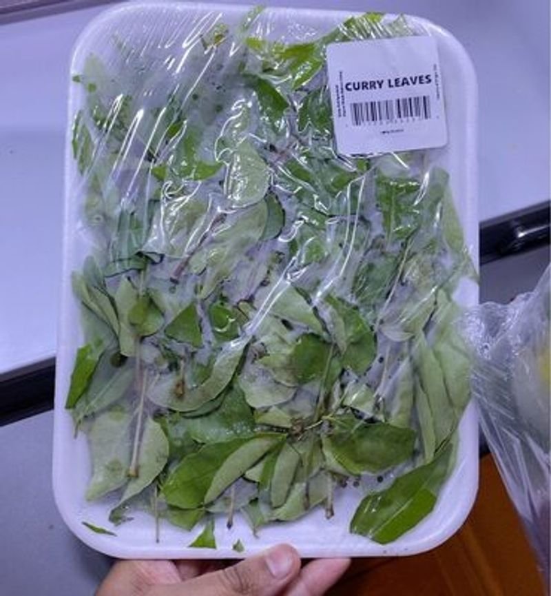 resources of Fresh Lettuce exporters