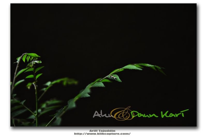 resources of ART-5010 exporters