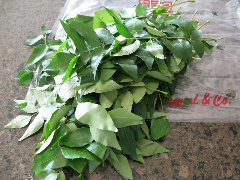 resources of Molokhia Leaves exporters