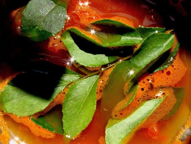 resources of Tomato Pickles exporters