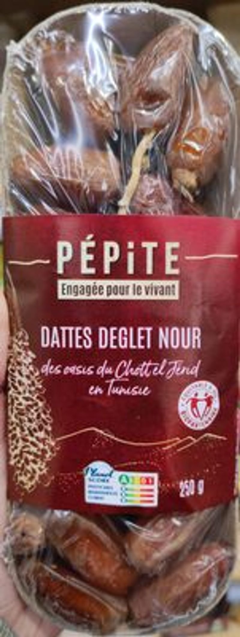 resources of Dates exporters