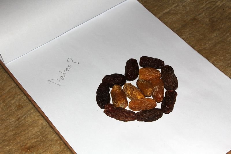 resources of Fresh Soft Dates/ Pressed Dates exporters