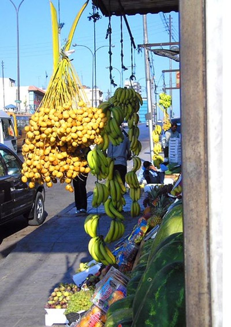 resources of Frozen Avocado Booth exporters resources of Frozen Avocado Booth exporters