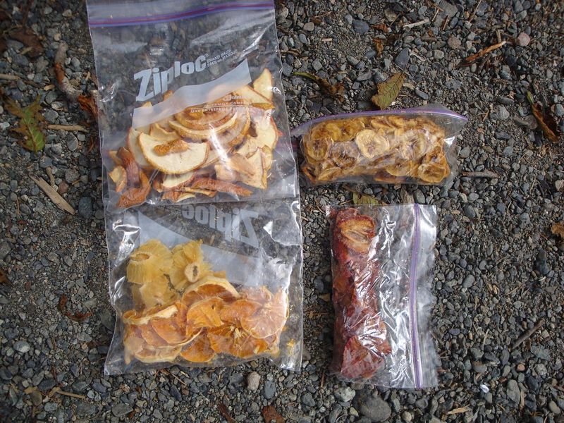 resources of Dried  Pineapple Fruit Slices /tidbits exporters