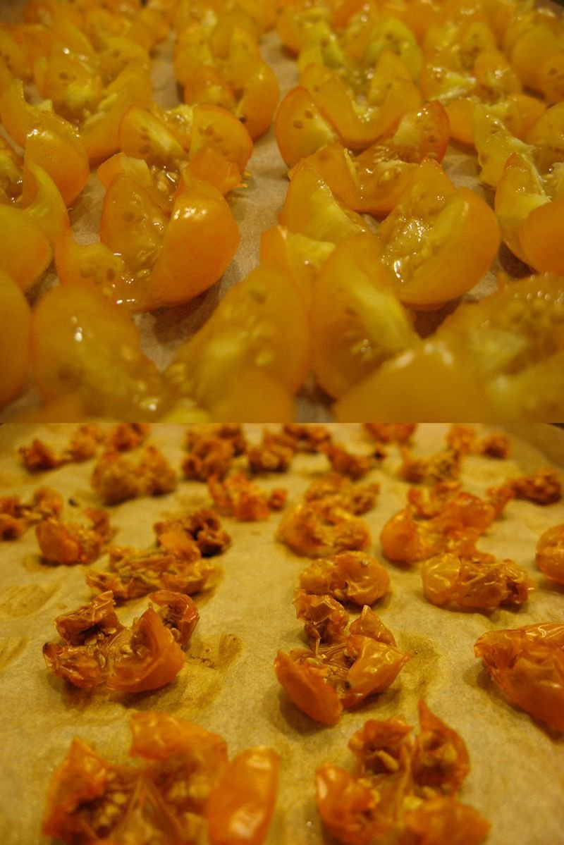 resources of Dehydrated Tomato Powders Powder exporters