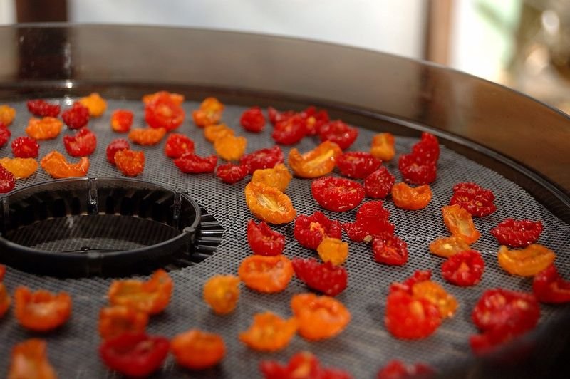 resources of Dried Tomatoes exporters