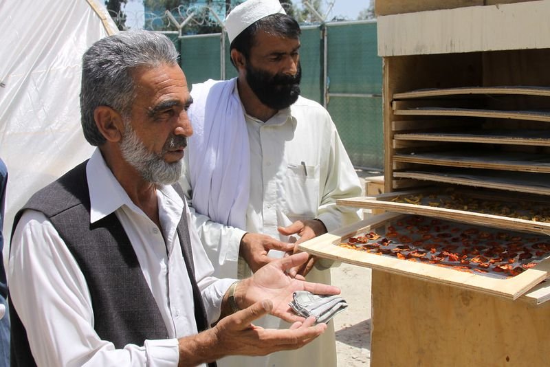 resources of Dried Tomatoes exporters