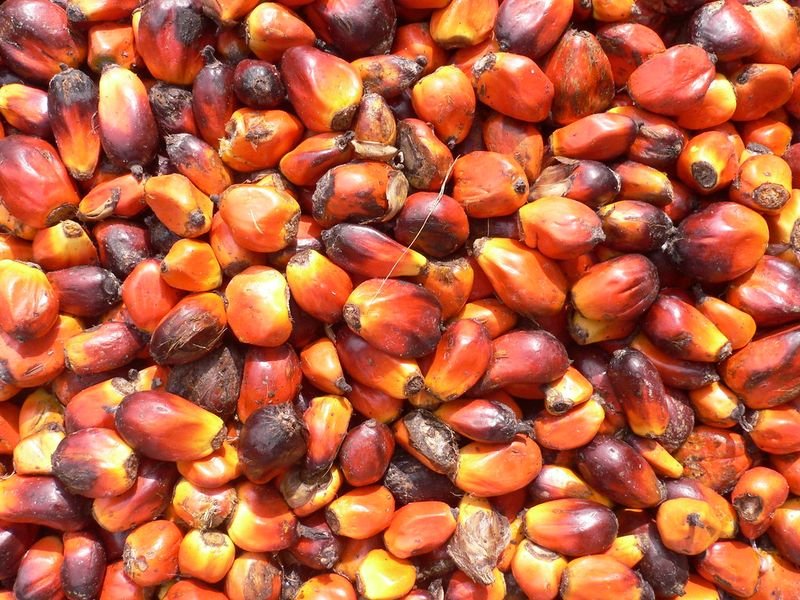 resources of Salty Snack, Nuts &amp; Dried Fruit Packaging exporters