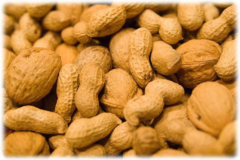 resources of Peanuts exporters