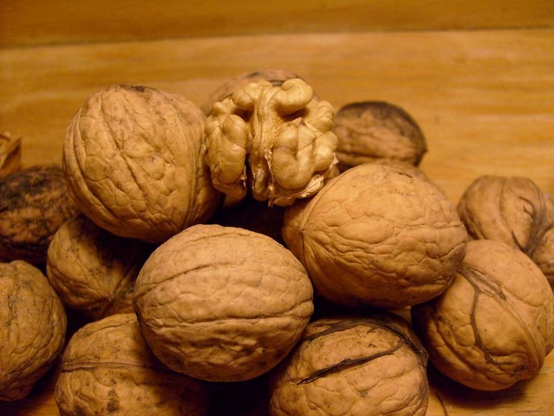 resources of Raw Pecan Nuts For Sale Top Quality exporters