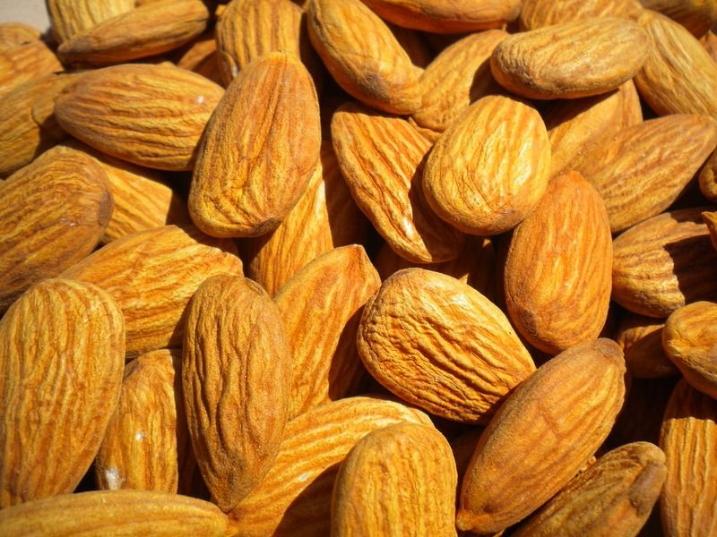 resources of Almond Organic Oil exporters resources of Almond Organic Oil exporters