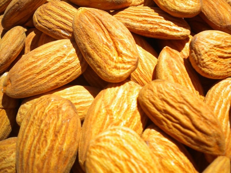 resources of Almond Nuts exporters