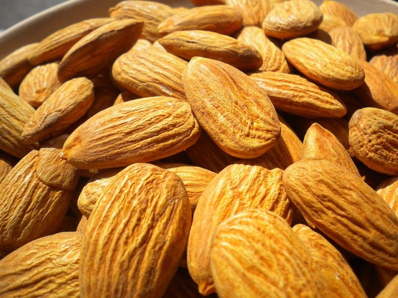 resources of Almond Nuts exporters