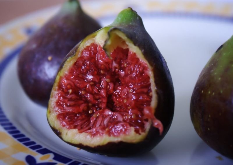 resources of Selling Fresh Figs exporters