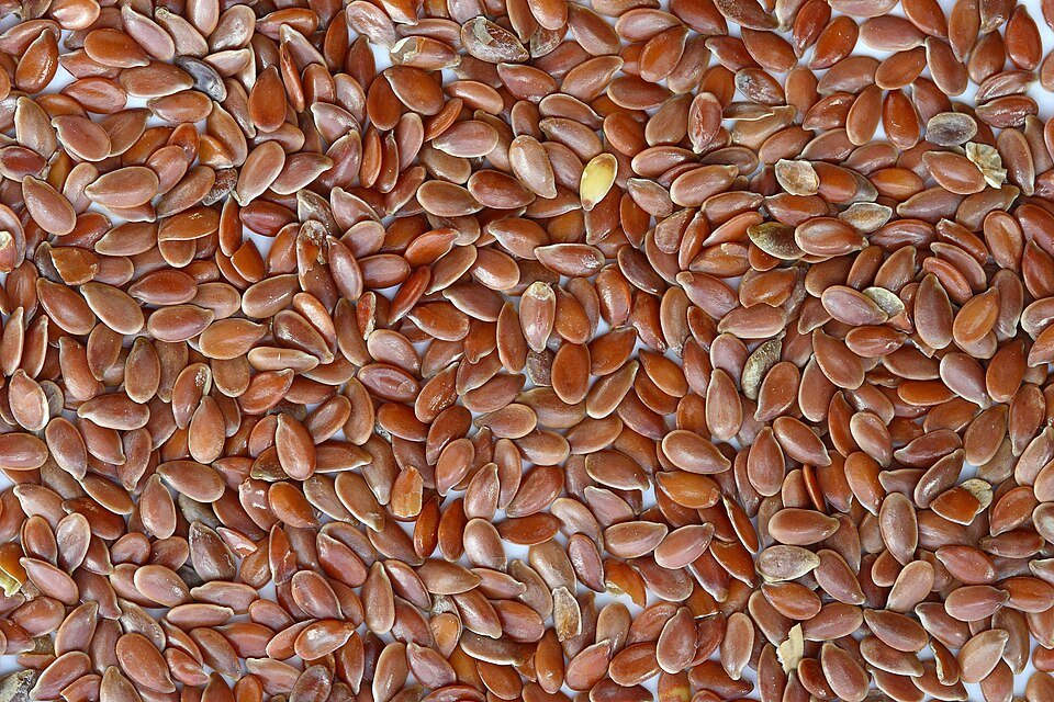Flax Seeds Exporters, Wholesaler & Manufacturer | Globaltradeplaza.com