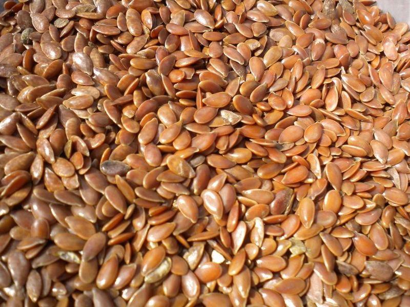 resources of Golden Flax Seeds exporters resources of Golden Flax Seeds exporters