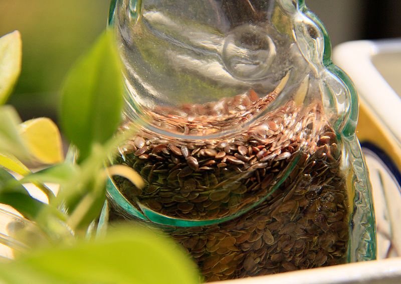 resources of Egyptian Linseed exporters