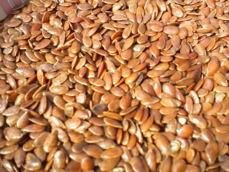 resources of Munchies Healthy Roasted Seeds exporters resources of Munchies Healthy Roasted Seeds exporters