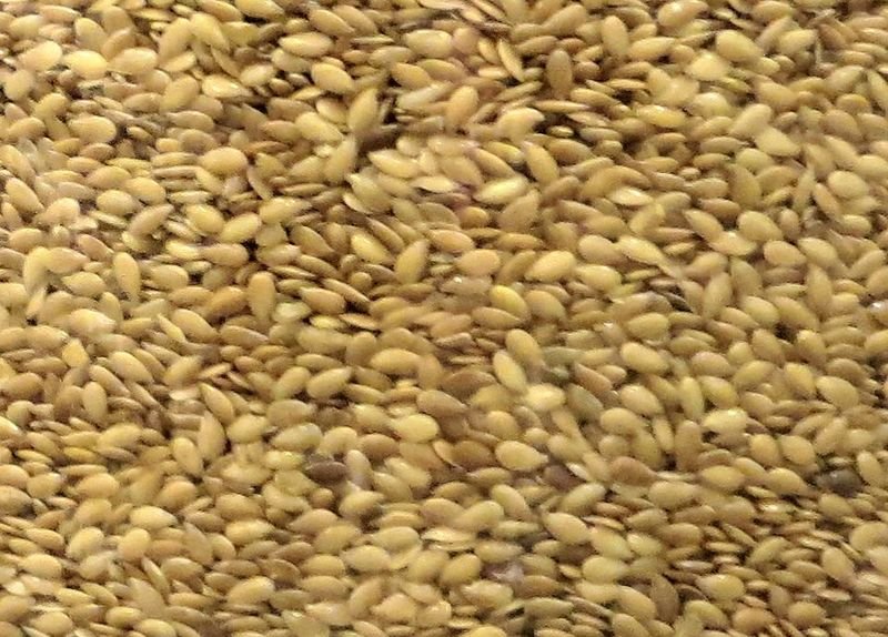 resources of Sesame seeds exporters