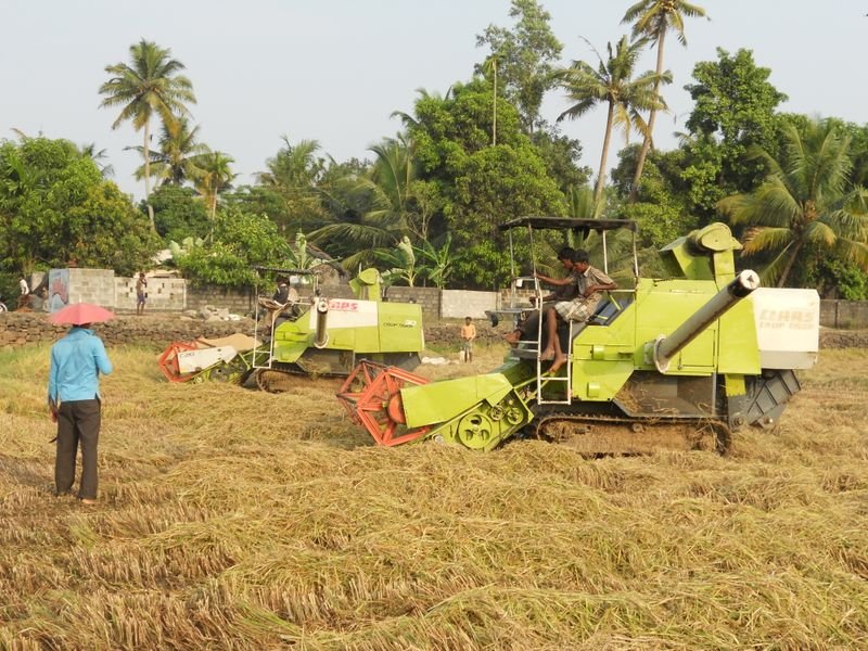 resources of Factory Selling Rice Thresher Machine exporters