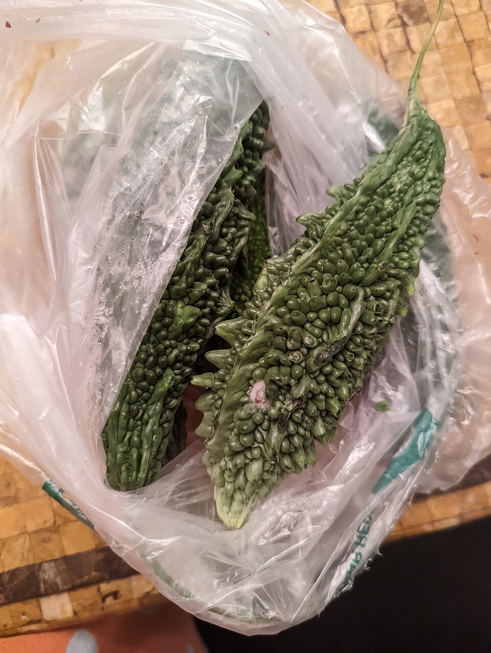 Fresh Bitter Gourd Exporters, Wholesaler & Manufacturer | Globaltradeplaza.com
