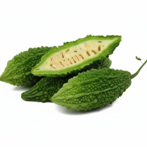 resources of NUTRILEAF HYBRID Fe+Cu+S exporters