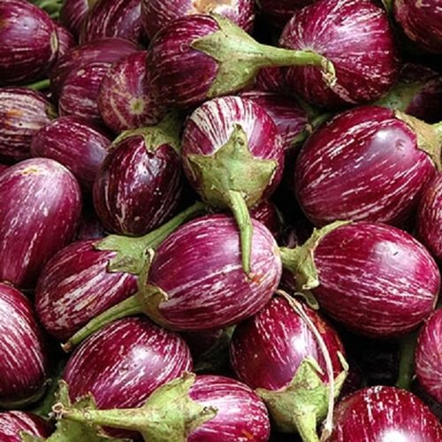 resources of Red Cabbage Anthocyanins Cabbage 10 Kgs exporters