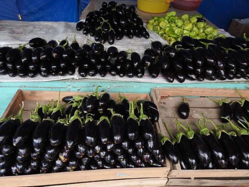 resources of Iranian Eggplant exporters