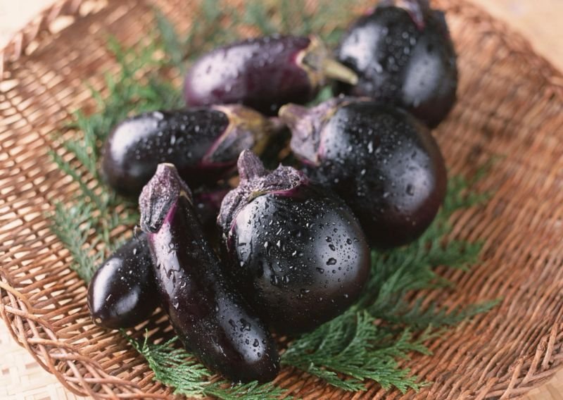 resources of Jamun Pulp exporters