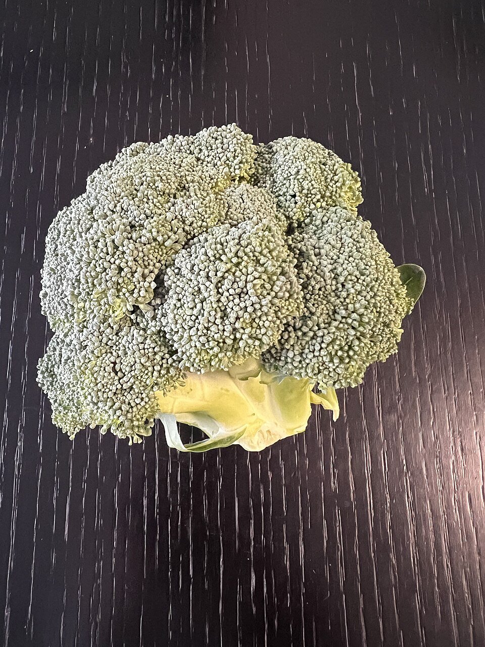 Fresh Broccoli Exporters, Wholesaler & Manufacturer | Globaltradeplaza.com