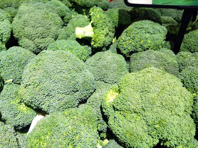 resources of Fresh Broccoli exporters