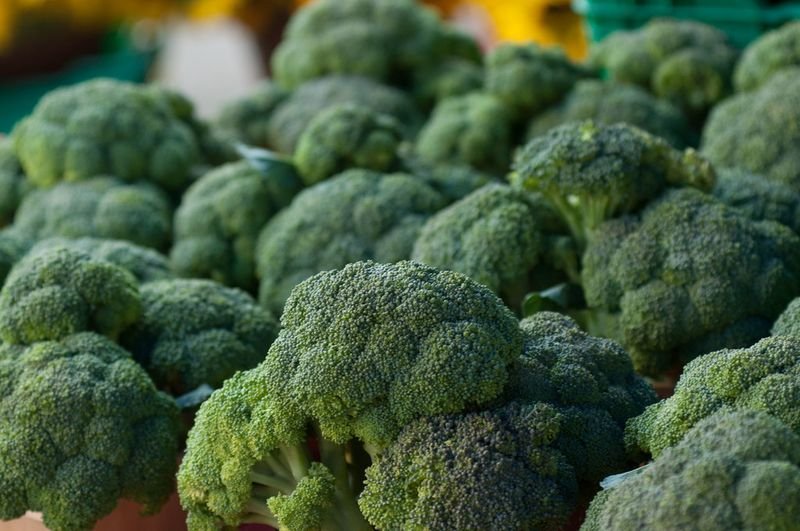 resources of Broccoli exporters