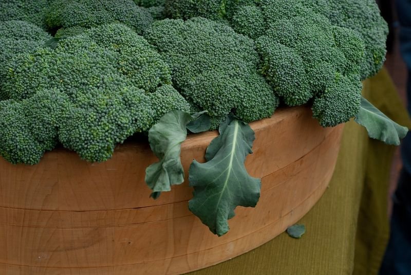 resources of Broccoli exporters