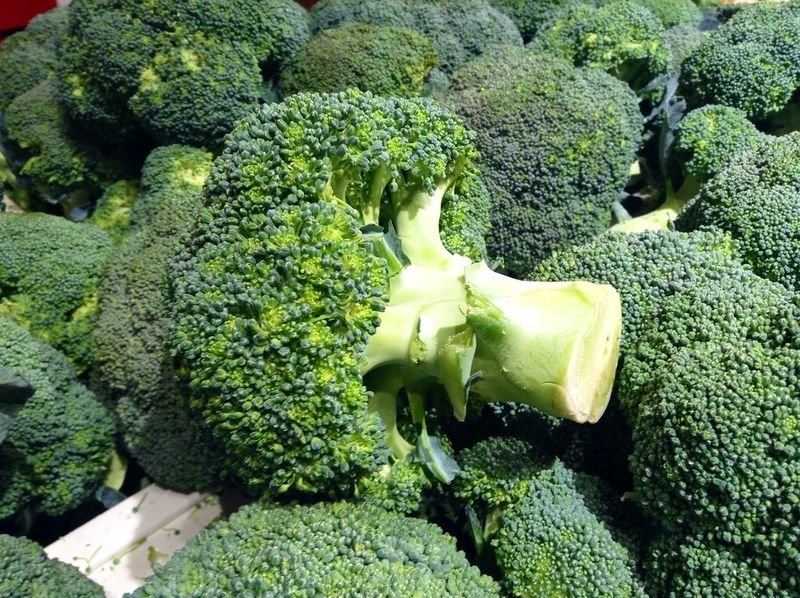resources of Frozen broccoli exporters