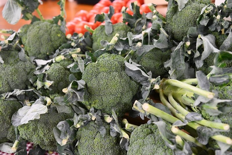 resources of Broccoli exporters