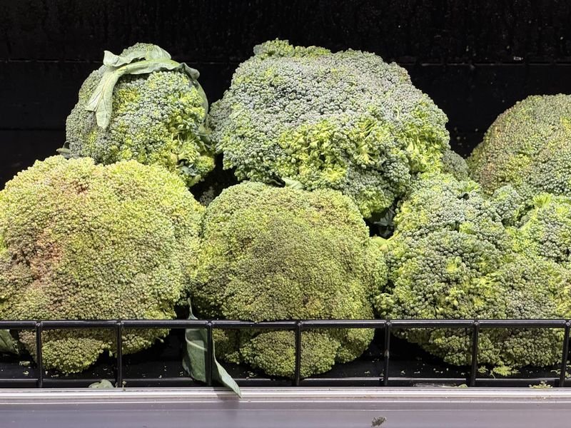 resources of broccoli exporters