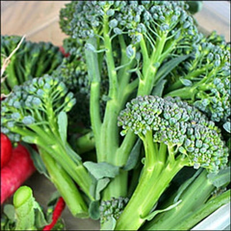 resources of broccoli exporters