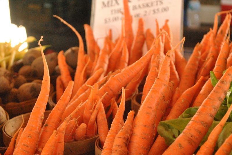 resources of Carrot exporters