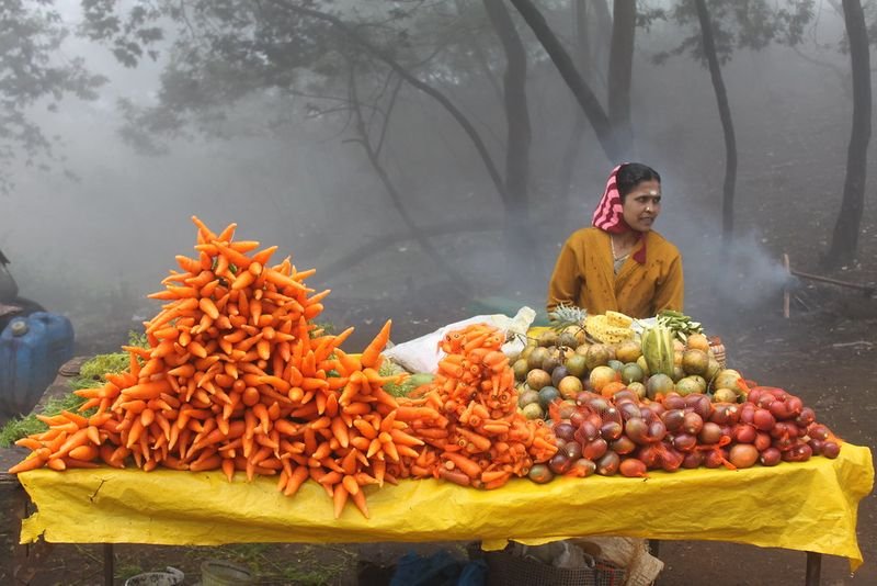 resources of Carrot exporters